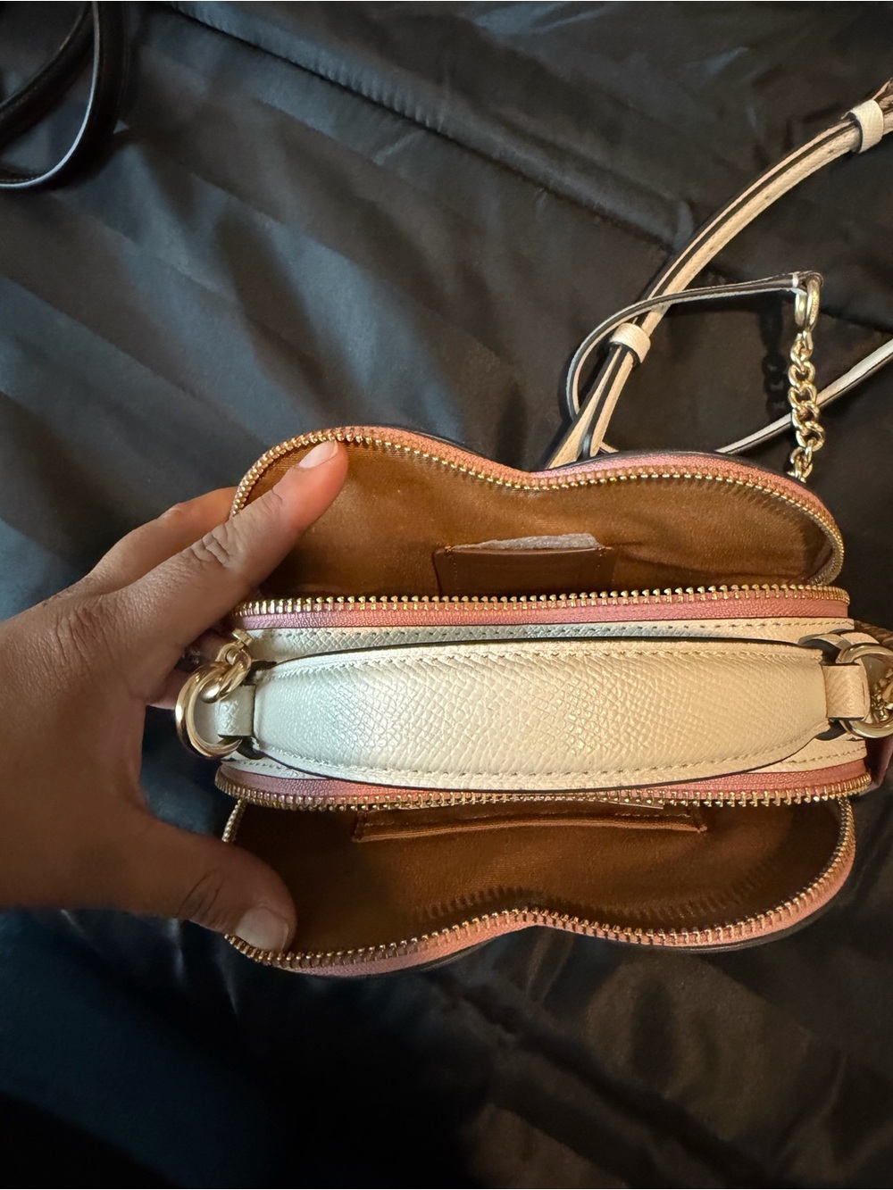 Coach Beige Signature Heart Crossbody with Pink Cherry Print - Picture 3 of 10